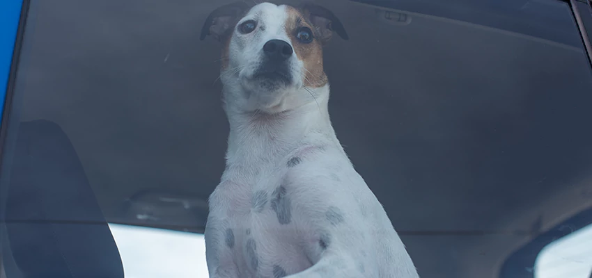 Car Lockout Solutions in El Centro, California